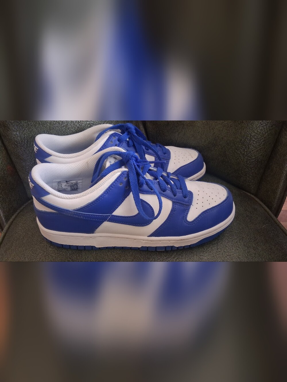 Nike Kids Low-Top Sneakers in White and Blue